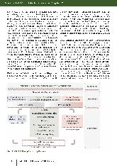 carelit_308719_2.jpg