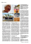 carelit_228215_3.jpg