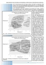 carelit_201213_6.jpg
