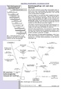 carelit_201094_4.jpg