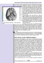 carelit_201075_4.jpg